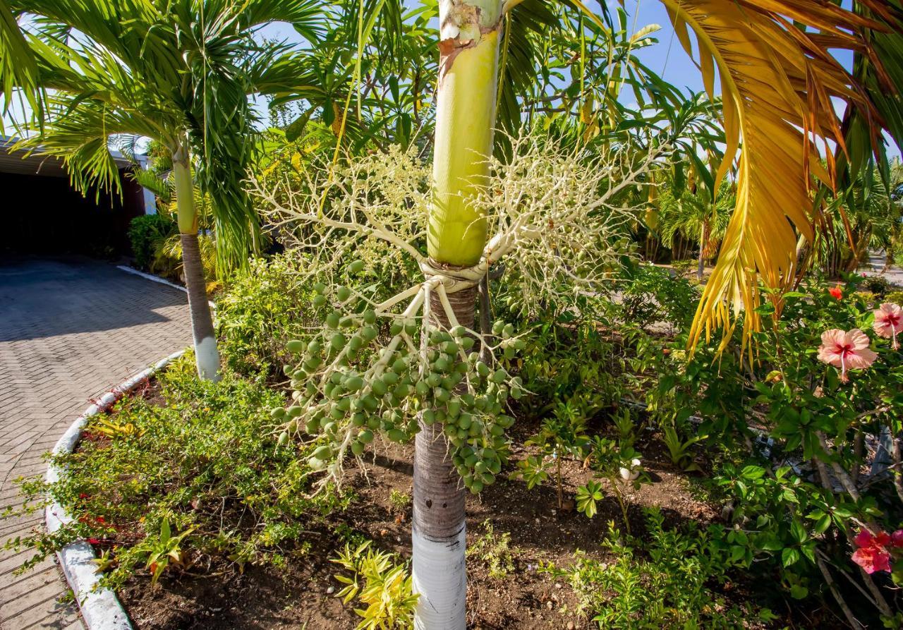 Nature'S Choice Home Richmond Palms, Jamaica Экстерьер фото