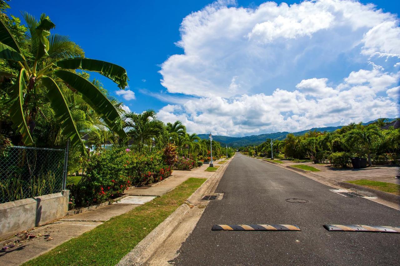 Nature'S Choice Home Richmond Palms, Jamaica Экстерьер фото